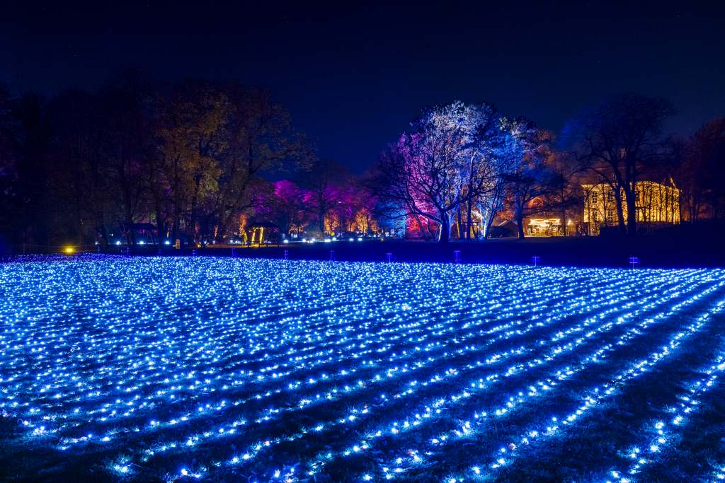 Große Lichtinstallation auf einer Wiese mit blauen Leuchtbändern