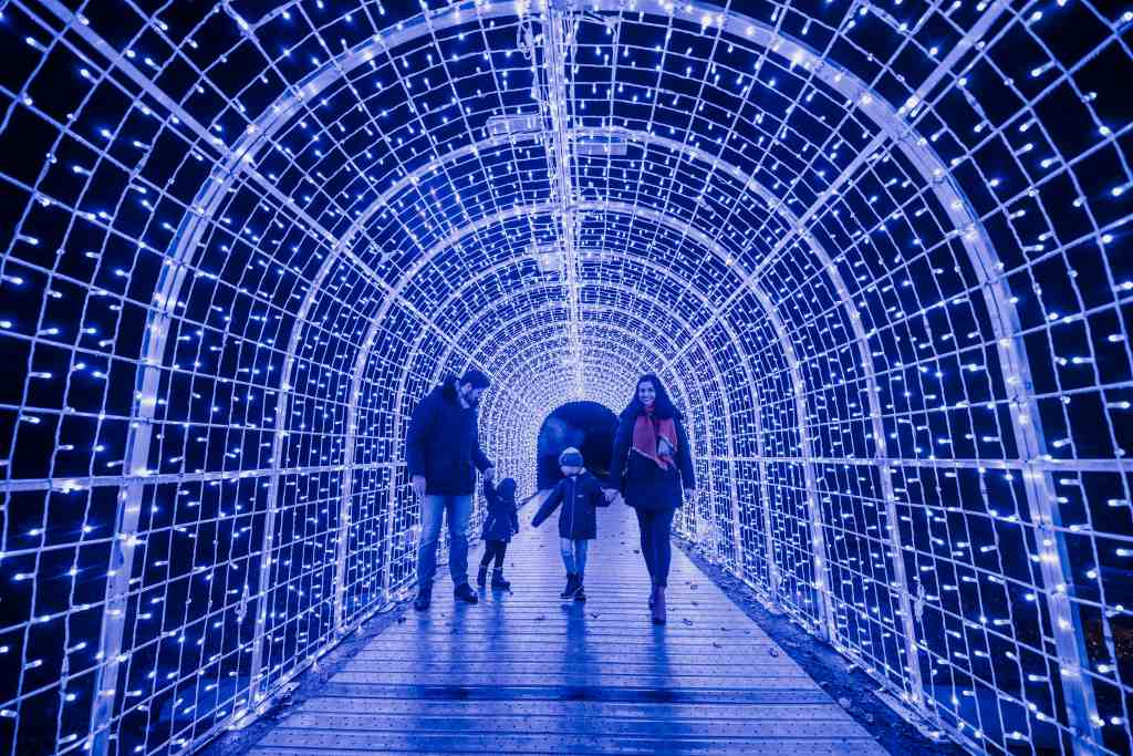 Vier Personen gehen Hand in Hand auf einem Holzweg. Über dem Weg hängen blaue und weiße Lichter. Es ist Nacht.