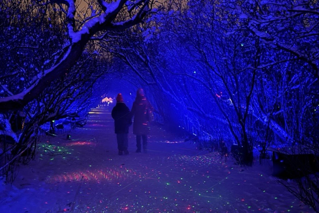Zwei Personen gehen nachts auf einem verschneiten Weg. Man sieht Bäume und bunte Lichter.